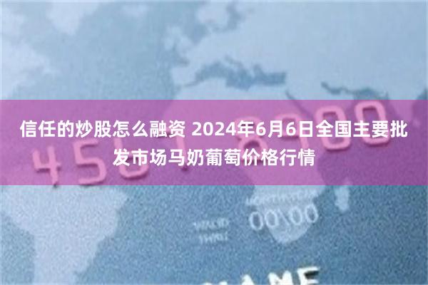 信任的炒股怎么融资 2024年6月6日全国主要批发市场马奶葡萄价格行情