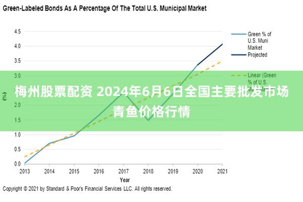 梅州股票配资 2024年6月6日全国主要批发市场青鱼价格行情