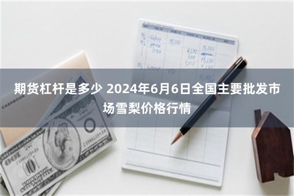 期货杠杆是多少 2024年6月6日全国主要批发市场雪梨价格行情