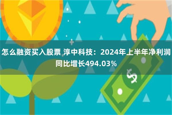 怎么融资买入股票 淳中科技：2024年上半年净利润同比增长494.03%