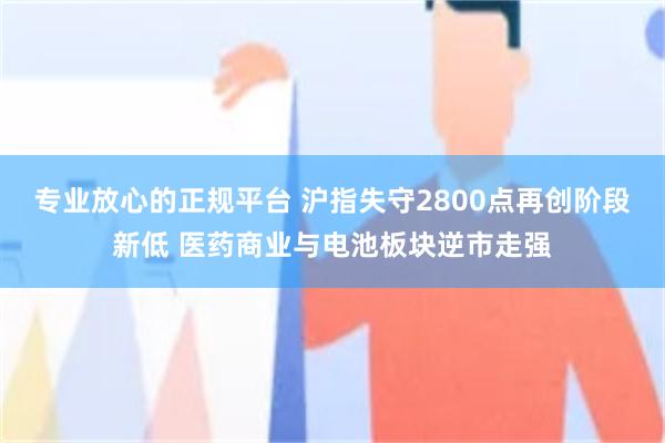 专业放心的正规平台 沪指失守2800点再创阶段新低 医药商业与电池板块逆市走强