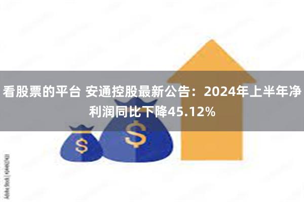 看股票的平台 安通控股最新公告：2024年上半年净利润同比下降45.12%