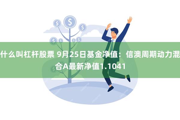 什么叫杠杆股票 9月25日基金净值：信澳周期动力混合A最新净值1.1041