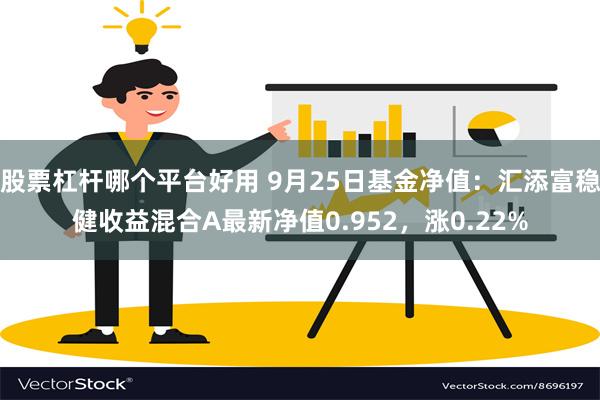 股票杠杆哪个平台好用 9月25日基金净值：汇添富稳健收益混合