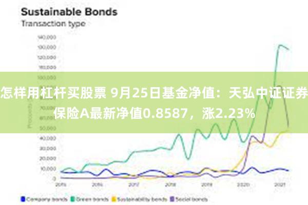 怎样用杠杆买股票 9月25日基金净值：天弘中证证券保险A最新净值0.8587，涨2.23%