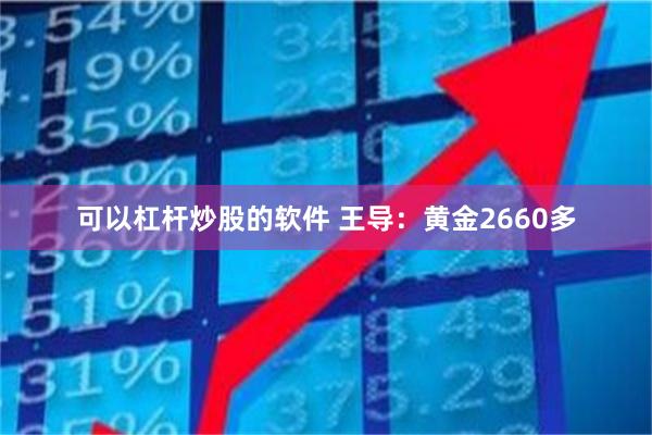 可以杠杆炒股的软件 王导：黄金2660多