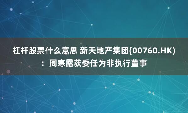 杠杆股票什么意思 新天地产集团(00760.HK)：周寒露获委任为非执行董事