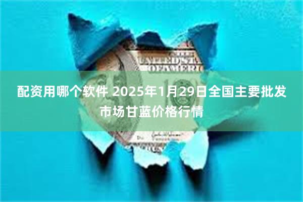 配资用哪个软件 2025年1月29日全国主要批发市场甘蓝价格行情