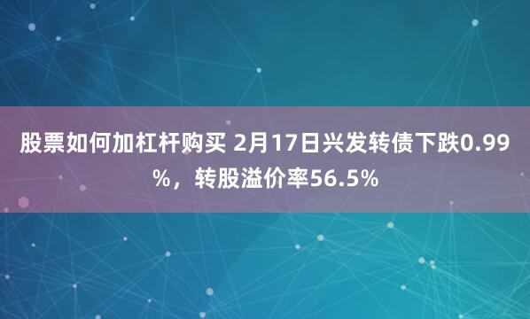 股票如何加杠杆购买 2月17日兴发转债下跌0.99%，转股溢价率56.5%