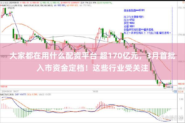 大家都在用什么配资平台 超170亿元，3月首批入市资金定档！这些行业受关注